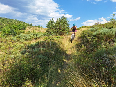 Mountainbiken Targasonne
