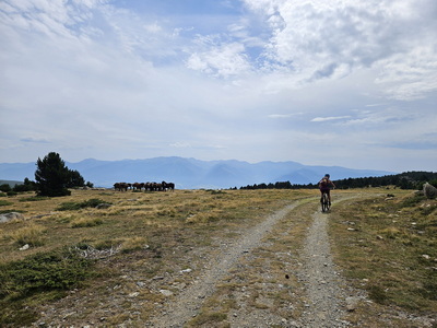 Mountainbiken Targasonne