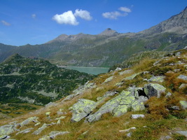 Der Tauernmoossee
