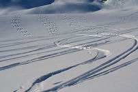 Solche Abfahrtsspuren zeugen von schönen Verhältnissen (oder guten Skifahrern ;-)