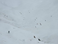 Skitour Kreuzspitze 2624 m