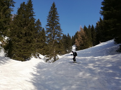 Warscheneck über Skilehrerweg (mit Barbara)