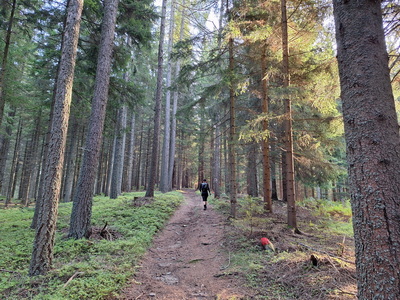 Kurz nach Kindbergdörfl beginnt ein schöner Trail
