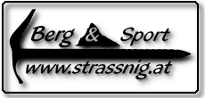 halbtransparentes strassnig.at Logo