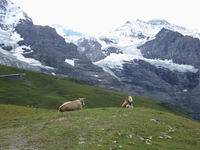 Am Fuße der Eiger Nordwand - Geschichte zum Greifen nahe!