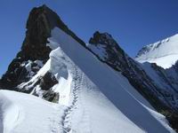 Eiger über Mittellegigrat - eine Tour auf Messers Schneide