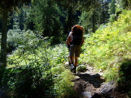 Aufstieg vom Enzingerboden zur Rudolfshütte