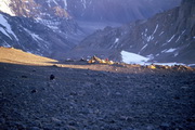 Aconcagua Gipfeltag