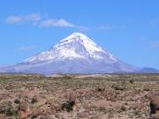 Aufstieg ins Sajama Hochlager (auf ca. 5700 Meter)