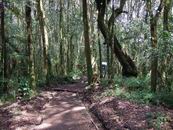 Machame Gate - Machame Camp