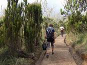 Machame Gate - Machame Camp