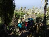 Machame Gate - Machame Camp