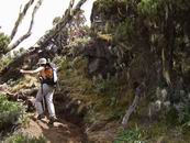 Machame Gate - Machame Camp