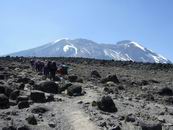 Shira Camp - Barranco Camp