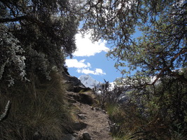 Aufstieg ins Hochlager auf 4950 m