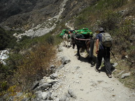 Von Cashapampa ins Santa Cruz Tal zum Lager Llamacoral