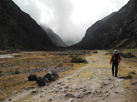 Llamacoral bis Basecamp Alpamayo