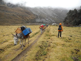 Llamacoral bis Basecamp Alpamayo