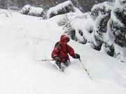 Kragelschinken 1845 m und Plöschkogel 1688 m (Eisenerzer Alpen)