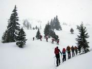 Speirerkogel 1991 m (Rottenmanner Tauern)