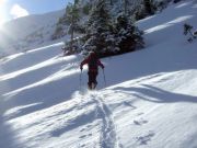 Stadelstein 2070 m (Eisenerzer Alpen)