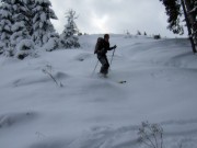 Vöttleck (Triebener Tauern)