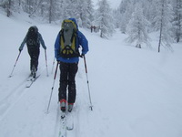 Skitour Pürglerskunke 2500 m - Schlechtwettertour