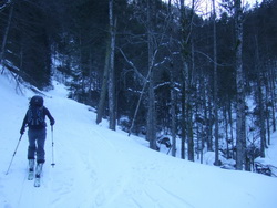 Skitour Lugauer aus dem Hartelsgraben