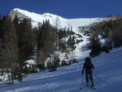 Skitour Lugauer aus dem Hartelsgraben