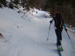 Skitour Festkogel aus dem Johnsbachtal