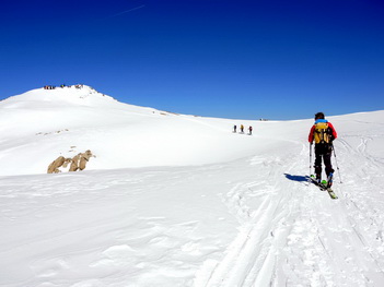 Skitour Wildes Hinterbergl über Berglasferner und Hinter/Vorderer Wilder Turm