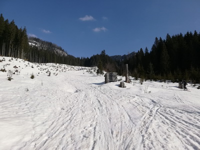 Warscheneck über Skilehrerweg (mit Barbara)