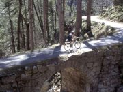 landschaftliche Vielfalt Barbara auf historischer Brücke