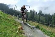 Bikepark Leogang