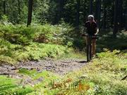 Auf der Suche nach den schönsten Singletrails