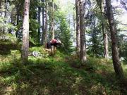 Auf der Suche nach den schönsten Singletrails