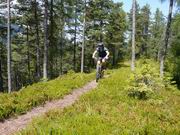 Auf der Suche nach den schönsten Singletrails