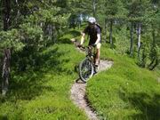 Auf der Suche nach den schönsten Singletrails