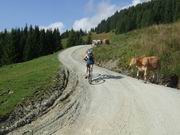 Saalbach - Schattberg - X-Line