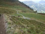 Saalbach - Schattberg - X-Line