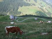 Hinterglemm - Hackelbergeralm - Huberalm