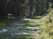 Hinterglemm - Hackelbergeralm - Huberalm