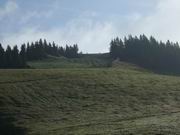 Saalbach - Schreiende Brunnen Runde