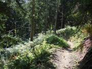 Saalbach - Schreiende Brunnen Runde