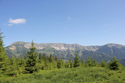 Veitscher Alpinmarathon/Grenzstaffellauf