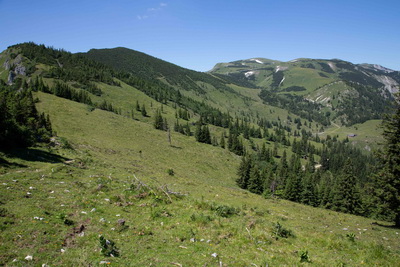 Flowiger Trail im Bereich der Kleinveitsch Alm