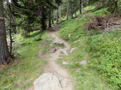 Kreuzeck Höhenweg an einem Tag