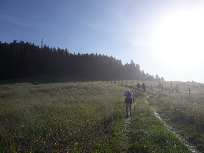 Impressionen vom Familientrailrunning am Hochkönigman Trailrunning Festival 2022