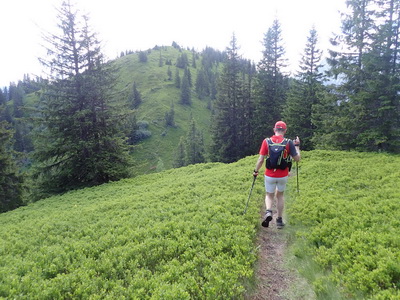 Traverse Eisenerzer Alpen - Reichenstein zu Reichenstein an einem Tag