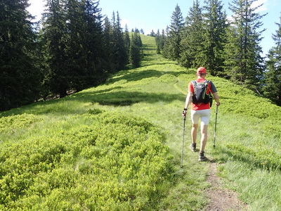 Traverse Eisenerzer Alpen - Reichenstein zu Reichenstein an einem Tag